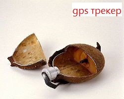 gps трекер на русском языке